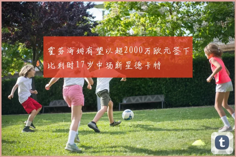 霍芬海姆有望以超2000万欧元签下比利时17岁中场新星德卡特